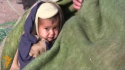 Displaced Afghan Families Fear Winter Without Food, Shelter