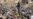 Coalition Action Against Qaddafi Regime Enters 2d Week