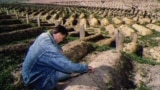 An unnamed man mourns his mother, Vasvija, who was killed by a sniper, at a cemetery built at the Kosevo stadium in Sarajevo, September 1993.