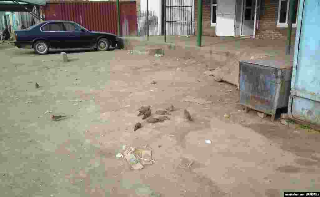 T&uuml;rkmenabat ş&auml;heri