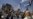 Foot-Dragging And Firebrands: The Politics Of Pakistan's Engagement With The U.S.
