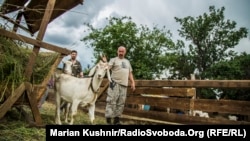 На козиній фермі під Костянтинівкою