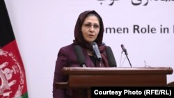 کریمه حامد فاریابی، وزیر اقتصاد افغانستان