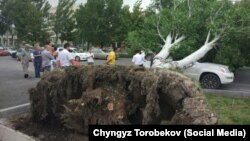Сүрөт социалдык тармактан алынды