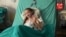 Ukraine - Kira, a heart transplant patient in Kyiv - screen grab