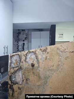 Мувла и влага во нови згради