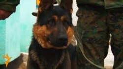 Баткен: мекен чегиндеги турмуш (3)