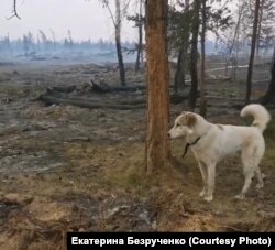 После пожара возле якутского села Бясь-Кюёль