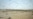 Disaster Hits Seals, Sturgeon In Caspian Sea