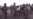Ukraine Halts Crimea Cargo Amid Blackout