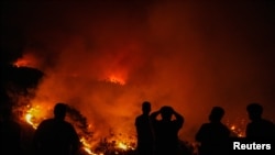 Požar na sjeverozapadu Turske 31. juli
