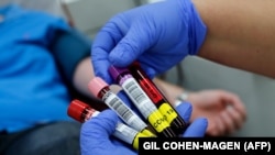 Blood samples donated by recovered novel coronavirus patients for plasma extraction (file photo)