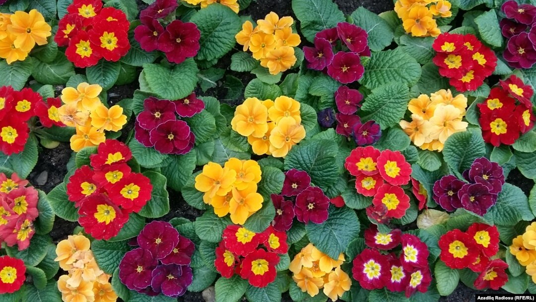 Men bir yigitni Kievdagi uyimga jinsiy aloqa qilish uchun taklif qilaman. Gozal tugilmagan serialidan porno sahnalar