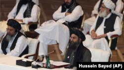 آرشیف، شماری از اعضای دفتر سیاسی گروه طالبان