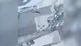 Ukrainian Drone Hunters Target Russian Craft On Aerial Front Lines