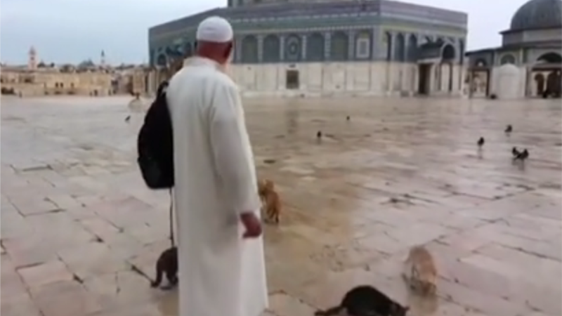 Otac mačaka iz Al-Aksa džamije