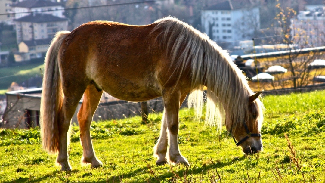 Секс экатиринай гусевай Орыс лесбиянки жаңа порно