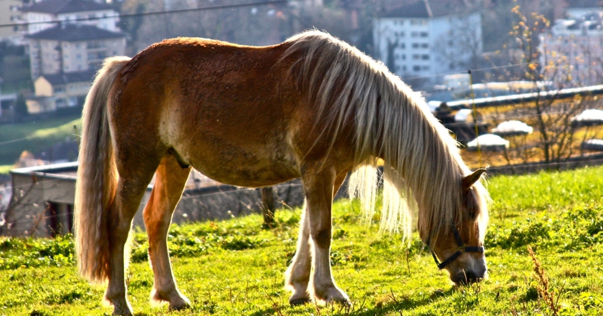 Жасырын камера жоғары сапалы Шұңқыр және оның оргазмы