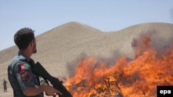 An Afghan policeman stands guard as authorities burn seized narcotics in Herat Province.