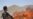 Kabul Pleads For More NATO Help To Fight Drugs