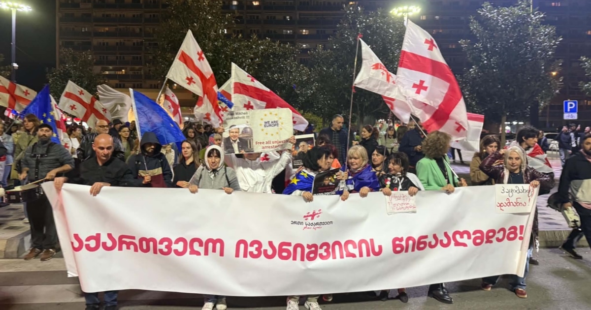 "საქართველო ივანიშვილის წინააღმდეგ" - თბილისში 42-ე შაბათის მარში იმართება