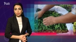 Hökümət yeni programlar qəbul edir - Kənd məhsulları artır ya azalır?