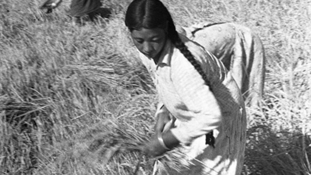 Қазақстанда түсірілген мобильді порно