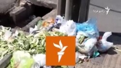 عدم جمع‌آوری زباله از سوی شهرداری، منطقه ۱۵ تهران