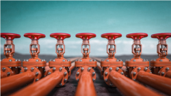 Šta treba znati o Južnoj interkonekciji u BiH?