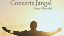 ۴. کنسرت جنگل - عماد قویدل