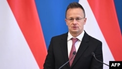 Hungarian Foreign Peter Szijjarto (file photo)