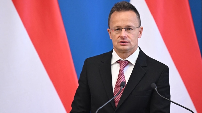 Hungary Cancels Talks With German Foreign Minister For 'Technical' Reasons