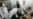 World: 'Virtually Untreatable' Form Of TB Emerges