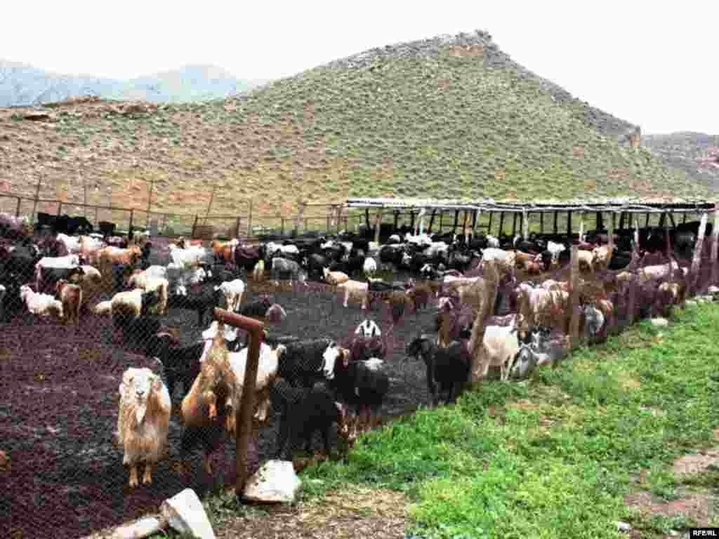 Türkmenistanyň çar tarapyndan #16