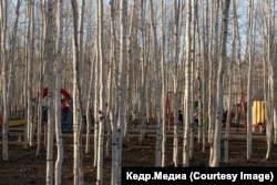 Городской парк в Мирном. Фото: Марина Сычева