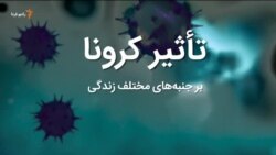 صبحانه با خبر