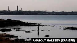 Фінська затока