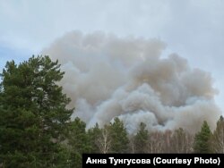 Пожары в лесах Тюменской области