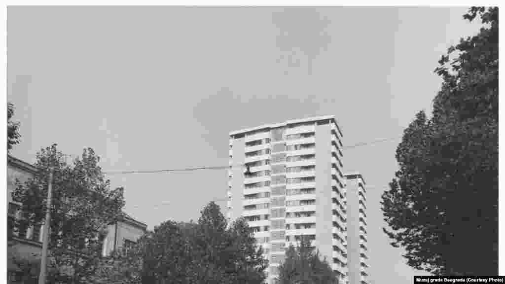 Ulica Džorža Vašingtona na fotografiji levo 1964. godine. O drveću u Beogradu ovako je govorio čuveni pesnik i novinar Duško Radović: &ldquo;Predlažemo da se uvede čitulja i za drveće, da se oglasi smrt svakog beogradskog drveta, sa podacima o uzroku smrti: Ovaj bagrem umro je od bolesti, ovaj hrast od starosti, a ova topola od dušmanske ruke.&rdquo;