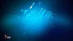 Ахбори Тоҷикистон ва ҷаҳон аз рӯзи 09-уми августи соли 2017