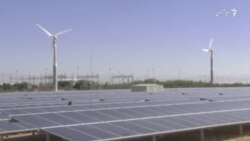 پروژۀ برق بادی و آفتابی از سوی وزیر انرژی و آب در هرات افتتاح شد