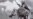 Aleksandr Nevsky: A Fitting Hero For Today's Russia
