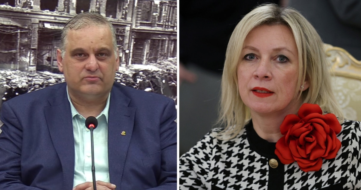 ვიმედოვნებთ, საქართველოს ხელისუფლება შეძლებს გაერკვეს ამ საკითხში  - ზახაროვა ჯაშუშობის ბრალდებით დაკავებულ რცხილაძეზე