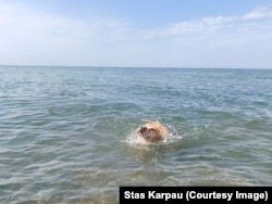 Волі любіць плаваць у Чорным моры