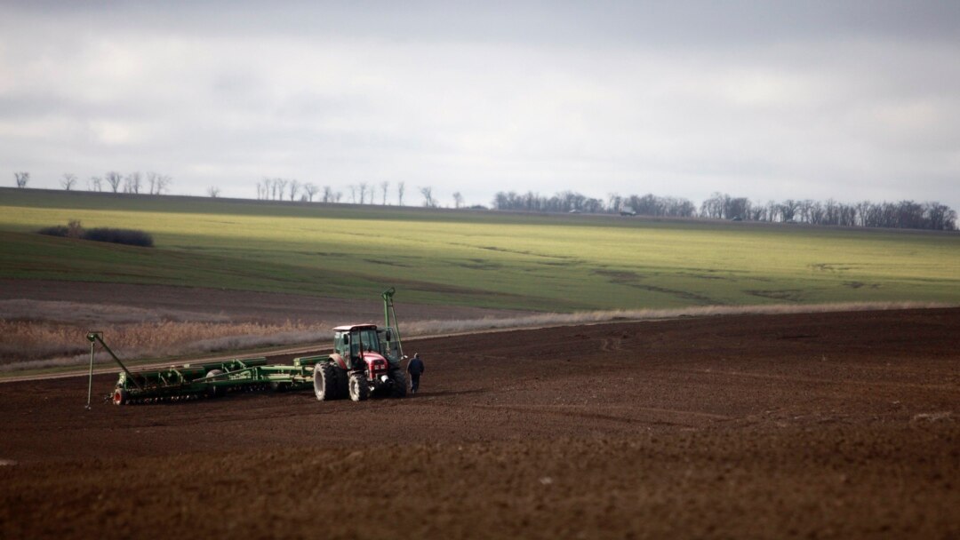 Желідегі жыныстық қатынас кезінде қынаптың шырмауы