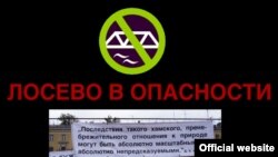 Члены инициативной группы "Лосево в опасности" надеются отстоять свой лес 