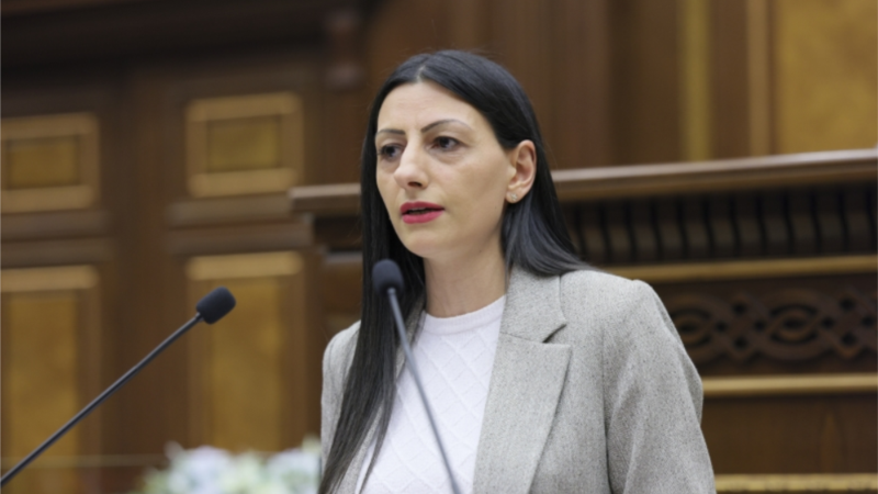 ՄԻՊ-ի Նուբարաշենի բանտում հանդիպել է Օսիպյանին, կա