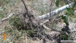 В Давташене выкорчевали деревья