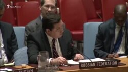 «Ты глаза-то не отводи, что ты глаза отводишь?!» – российский представитель в ООН – британскому (видео)