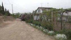 Потрійні тарифи на воду: врожай кримських жителів під загрозою (відео)